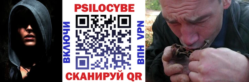 Галлюциногенные грибы Magic Shrooms  закладка  Кологрив 
